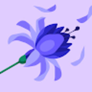 Meet your Posher, Kaitlyn